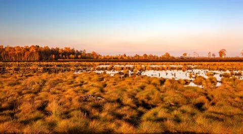 Peat bog after the mining Stock Photos