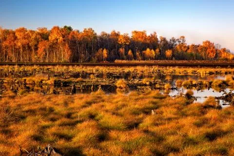 Peat bog after the mining Stock Photos
