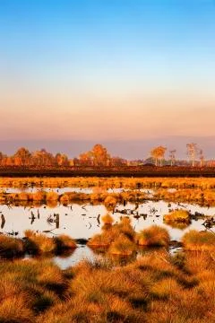 Peat bog after the mining Stock Photos