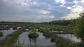 Peat bog moor landscape panning with clouds and water fields 4k 4k or 4k+ Resolution
