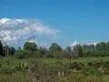 Peat bog moor nature landscape with beautiful clouds at Grosses Moor in Germany Photo