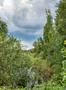Peat bog moor nature landscape with rain clouds at Grosses Moor in Germany Photo