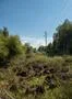 Peat bog moor nature landscape at Grosses Moor in Germany Photo