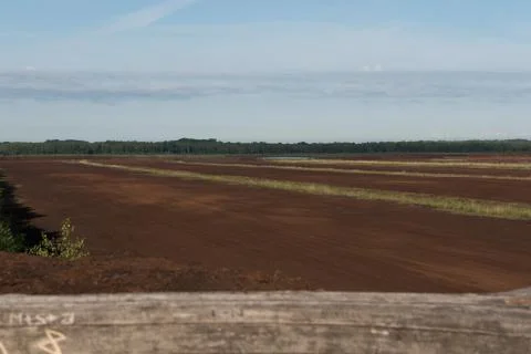 Peat bog Stock Photos