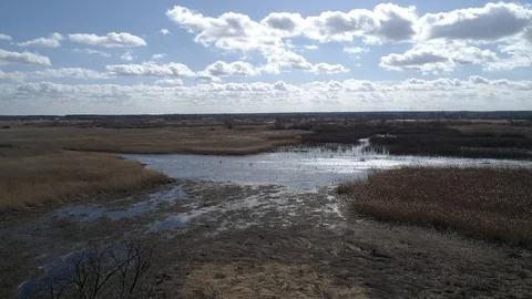 Peat bogs in spring, swamps, aerial view Stock Footage 120401202