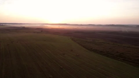 Peat extraction site in fog on sunset. Collecting peat on peatlands. Vídeo Stock 219825495