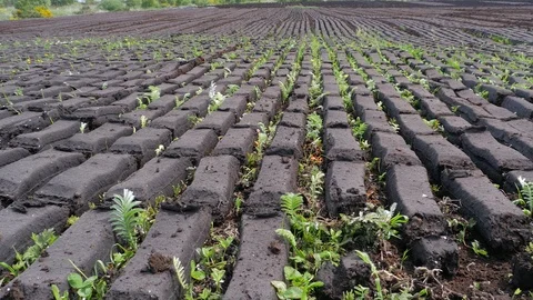 Peat Fuel Drying County Kildare Ireland Stock-Footage 98616576