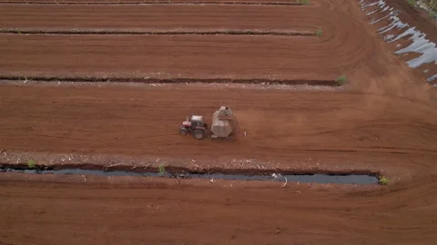 Peat Harvester Tractor on Collecting Extracting Peat. 動画素材 161419773