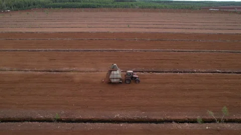 Peat Harvester Tractor on Collecting Extracting Peat. Видео 161420126