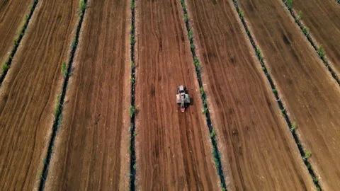 Peat Harvester Tractor on Collecting Extracting Peat. 動画素材 203919773