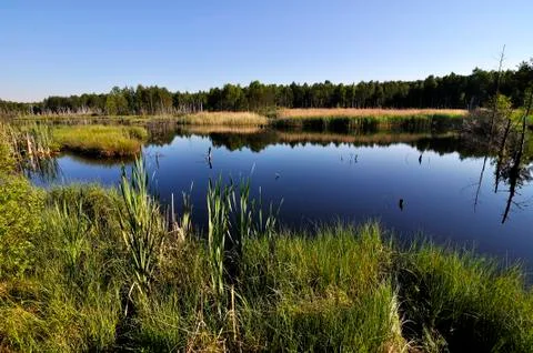 Peat lake Stock Photos