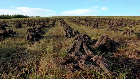 Peat piled on a peat bog in County Donegal - Ireland Stock Footage 158990103