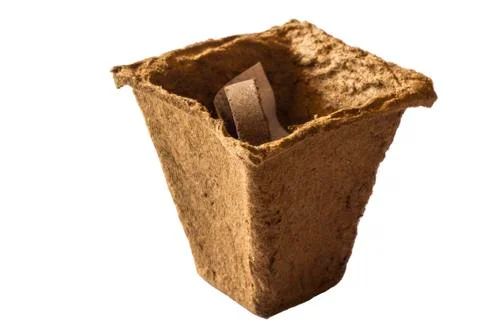 Peat pot Stock Photos