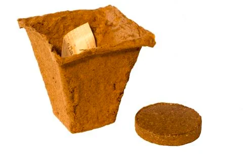 Peat pot Stock Photos