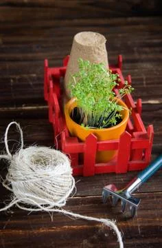 Peat pots, rough thread, rake and green sprouts in red box. Landing of seedli Stock Photos