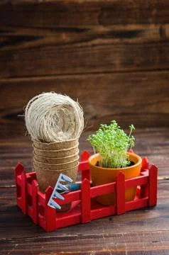 Peat pots, rough thread, rake and green sprouts in red box. Landing of seedli Stock Photos