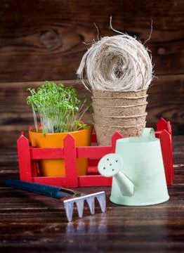 Peat pots, rough thread, rake and green sprouts in red box. Landing of seedli Stock Photos