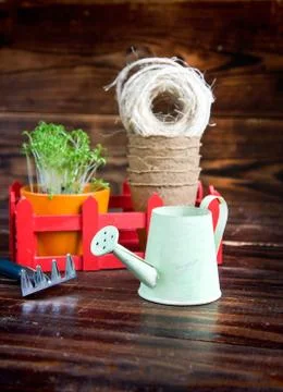 Peat pots, rough thread, rake and green sprouts in red box. Landing of seedli Stock Photos