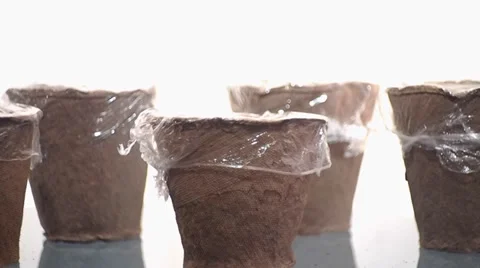 Peat pots with seedlings Video stock 36148176