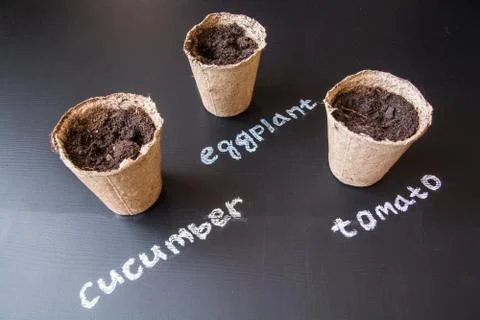 Peat pots for seedlings. Stock Photos