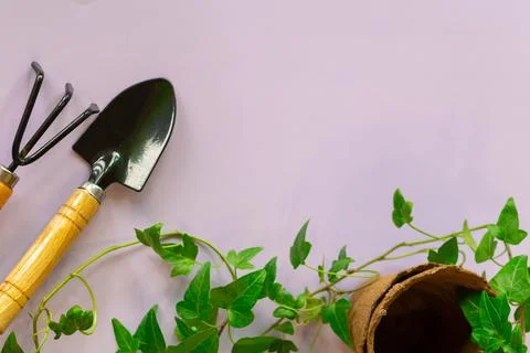Peat pots, a small rake and shovel on the light pink background Stock Photos