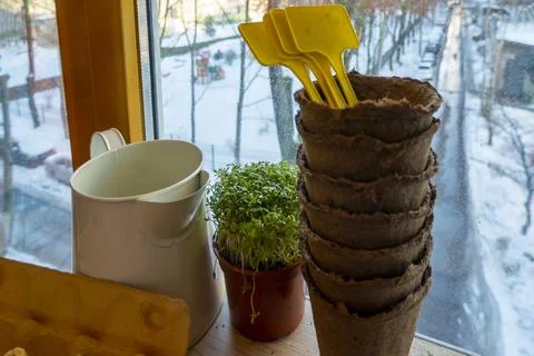 Peat pots, tools and soil are ready for planting seeds. Growing seedlings for Stock Photos