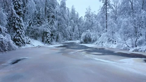 Peat river in the forest. Waterfall. Snow-covered deciduous grove Stock Footage 182017119