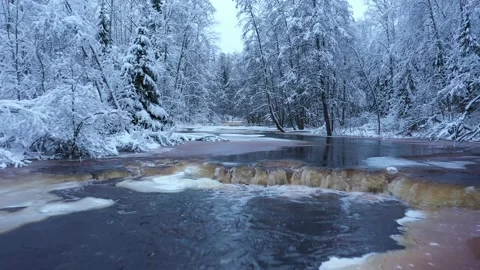 Peat river in the forest. Waterfall. Snow-covered deciduous grove.Winter Forest Stock Footage 182022246