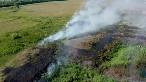 Peat smolders under a layer of soil near a green meadow. Hot spots of direct Stock Footage 158531606