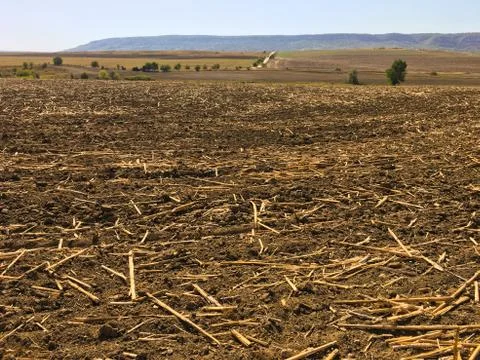 Peat soil as a background. Dirt texture as background Stock-Fotos