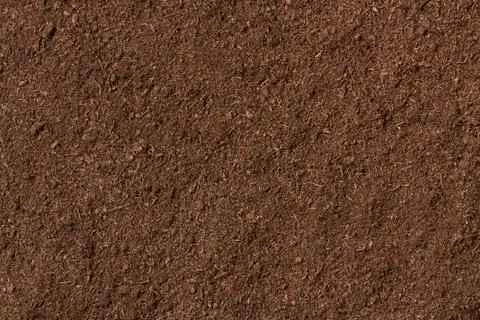 Peat soil as a background Stock Photos