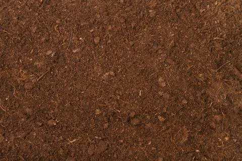 Peat soil Stock Photos