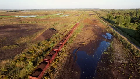 Peat transportation in freight wagons from peat extraction. Stock Footage 219824310