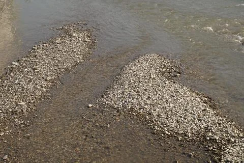 Pebbels in the river Foto stock