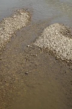 Pebbels in the river Foto stock