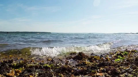 Pebble beach with algae over the ocean, beautiful blue water Stock Footage 78517337