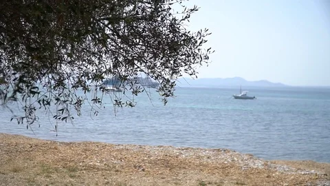 Pebble beach blue sea Stock Footage 128347366