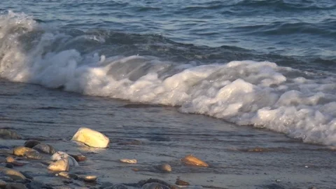 Pebble beach close up Video stock 127867497