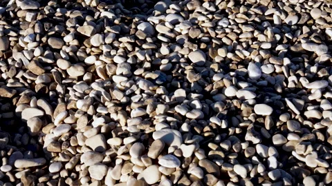 Pebble Beach Close-Up in Warm Sunset Light 库存影片 347015792