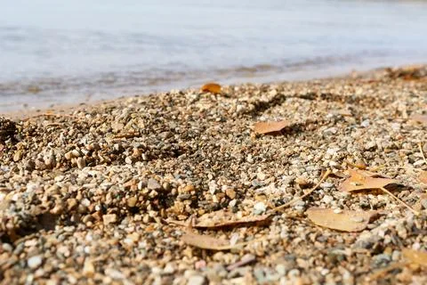 Pebble beach with fallen leaves on the background of the sea Stock Photos