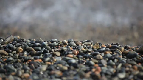 The pebble beach Stock Footage 35801837