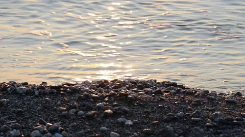 The pebble beach Video stock 143583168