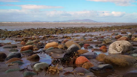 Pebble Beach Stock Footage 232287305