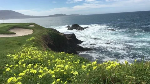 Pebble beach hole 7 with flowers pacific ocean sunny day golf course Stock Footage 61863751
