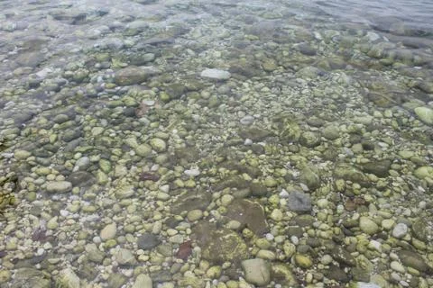 Pebble beach Fotos de archivo