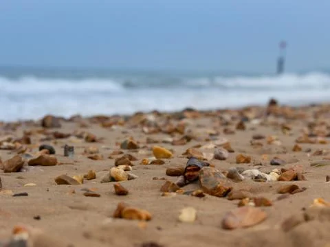 Pebble Beach Stock Photos