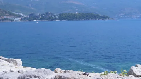 Pebble Beach, Seaside View, Adriatic Stock Footage 293256029