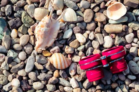 Pebble beach with shells Stock Photos