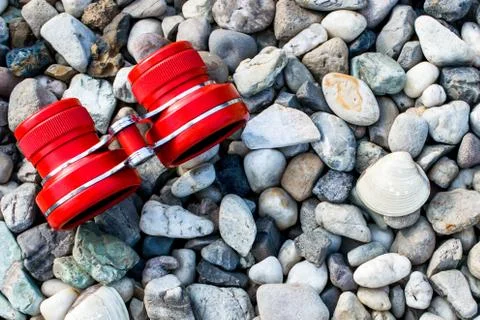 Pebble beach with shells Stock Photos