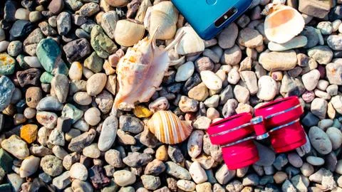 Pebble beach with shells Stock Photos